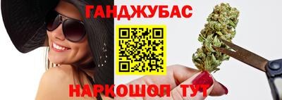 тгк Кингисепп
