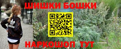 тгк Кингисепп