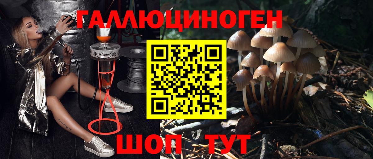 закладка  Псилоцибиновые грибы MAGIC MUSHROOMS  Вход с VPN  Чапаевск 