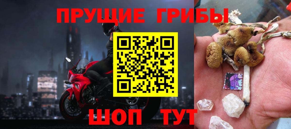 Галлюциногенные грибы мицелий Чапаевск