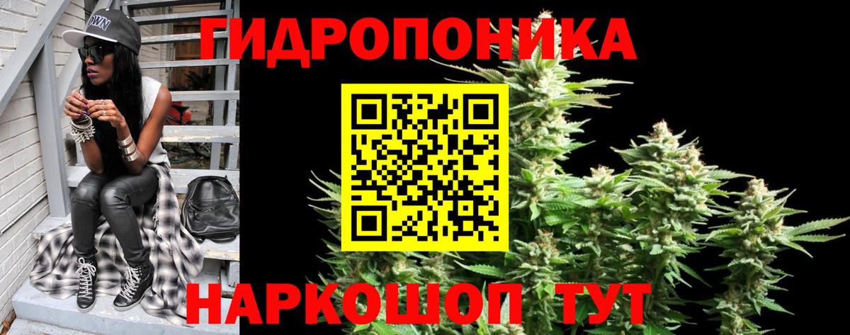 Шишки марихуана план Чапаевск